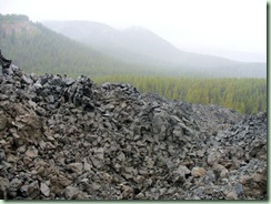 Damselfly’s Delights: October 2010